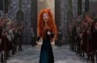 Merida Waleczna 3D