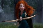 Merida Waleczna 3D