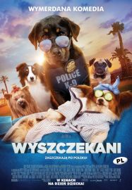 Kino na Temat: Wyszczekani 